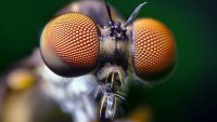 69A83C9D-BA98-4DB6-B2D2-937BE0E1ED5F.jpeg