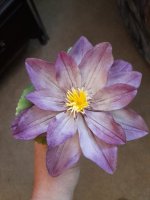20220628_135732.jpg