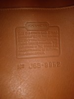 IMG_20220627_142543978.jpg