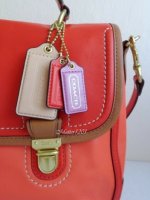 22431_Poppy leather color block large flap bag-f.jpg