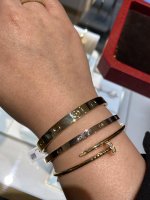 cartier2.jpeg