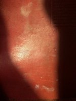 78BCCD16-5C7C-40DD-BD84-4BD43BB8B049.jpeg