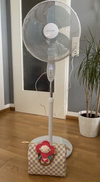 IMG-5355 - Kopie.jpg