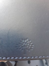 16588494373884240216417172999808.jpg