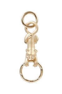 TSC R Lion Pendant 2 -.jpeg