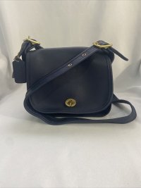 quikchevyz71 fake coach E7B-9965 front.jpeg