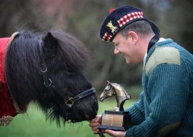 2016 Cruachan III Reward 02.jpg
