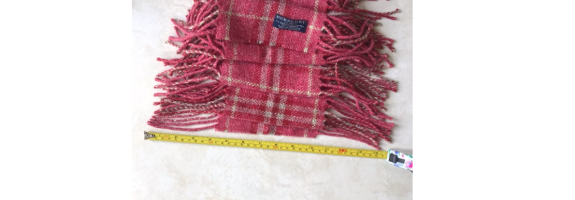 bb scarf 4.png