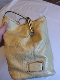 IMG_20220716_160843.jpg