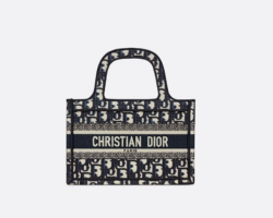 Unveiling My New Dior Oblique Embroidered Canvas Bag - PurseBlog