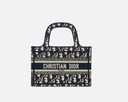 Mini Dior Book Tote Phone Bag PurseForum