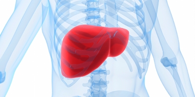 Image-Content-liver.png