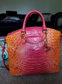 brahmin_passion_fruit_butterfly3.jpg