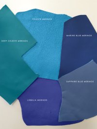 Merinos blue colors.jpeg
