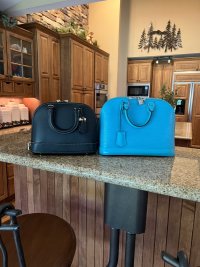 COACH REVEL HANDBAG REVIEW 👜- New IT bag? Coach Handbags 2022 Coach LV Alma  BB Alternative 