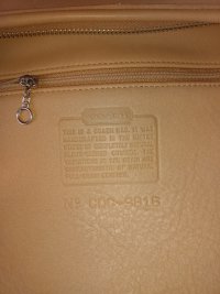 IMG_20220904_141345203.jpg