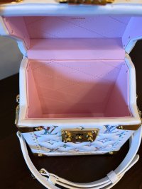 Camera Box (TS inspired) : r/Louisvuitton