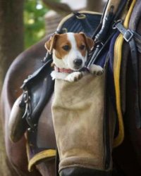 JRT Hunt.jpg