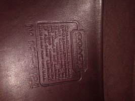 IMG_20220912_142233195.jpg