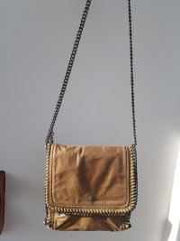 stella_mccartney_falabella_1606961034_eb15640f_progressive.jpg