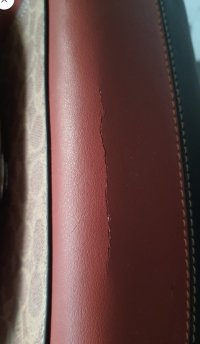 IMG_20220928_043413.jpg