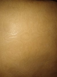 IMG_20220929_131030739.jpg
