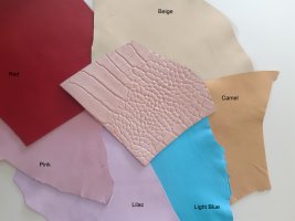 email1664450031344Nude Croco with lambskin.jpg