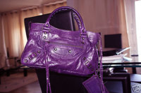 violet1.jpg