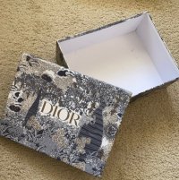 dior 2.jpeg