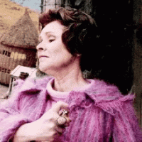 082ECECC-89AD-461E-BF6A-E468A55659E2.gif