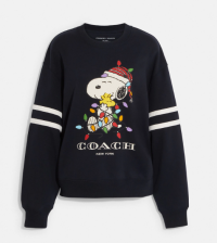 snoopy sweater.png