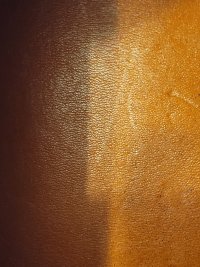 20221107_132954.jpg