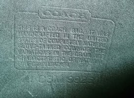 1998_M-plant-prob-FAKE_G8M-9925-maybe-a.jpg