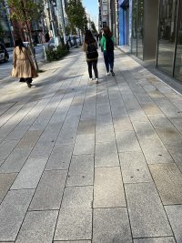 8C212148-20F1-4A05-ACCD-A4540E2C2B4C.jpeg