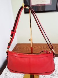 Coach Park Leather Back.jpg