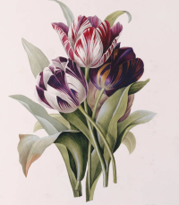 1668541850618.png