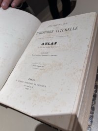 A08632F8-6788-4B74-BF62-4BEFC500BAF2.jpeg