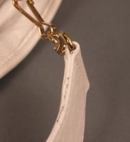 Balenciaga White 011.jpg