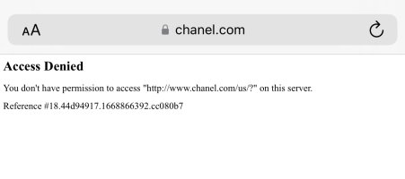 chanel website not working
