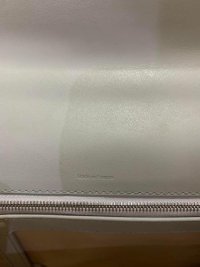 delvaux9.jpg