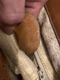 IMG_8526.jpeg