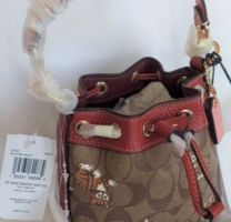coach signature dempsey foam on drawstring.png