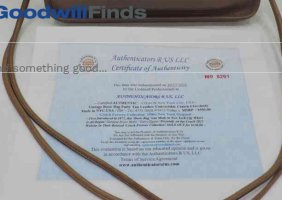 ******************* LLC cet-flyingcoach-a.jpg