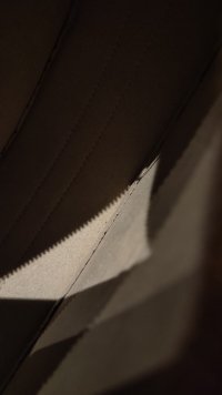 IMG_20221205_081801.jpg