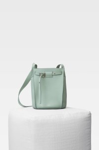 Celine Bag.jpg
