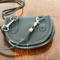 dinosgran fake coach 0605-327 back.jpeg