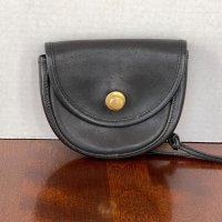 dinosgran fake coach 0605-327 front.jpeg