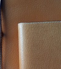 20210611_184927B.jpg