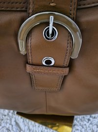 Tan Coach Front 2.jpg