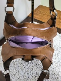Tan Coach Interior 1.jpg